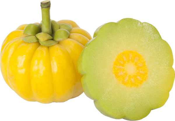 Garcinia Cambogia