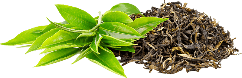 Green tea